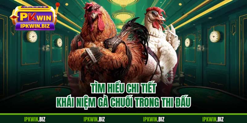 Tìm hiểu chi tiết khái niệm gà chuối trong thi đấu