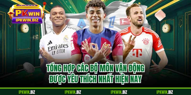 Tổng hợp các bộ môn vận động được yêu thích nhất hiện nay
